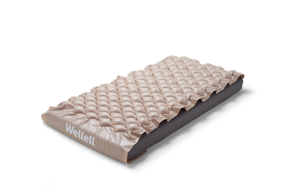 Wellell Domus 1 Air Mattress with Pump (2.5